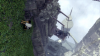 The Last Guardian™_20161227000055 (360).png