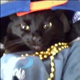 TheGoldenLemonYT