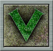 VeggaMan