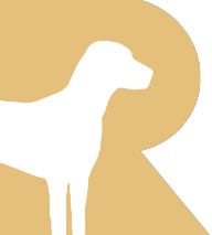 Retriever