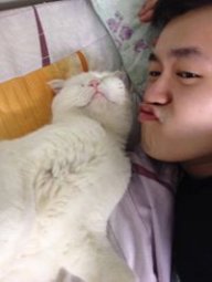 丹丹炸雞