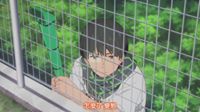 Mr江