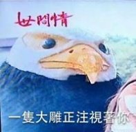 彈珠Marbles