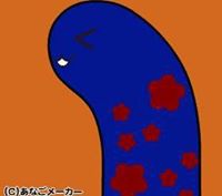 蝴蝶豬
