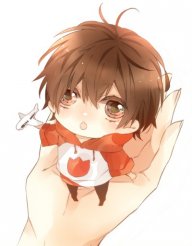 路露(蝶)
