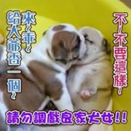 acttwins