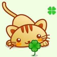 Cloverfly