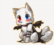 ---Mr雪狼---