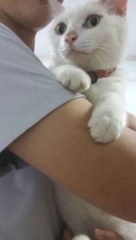 阿凱ohyeah