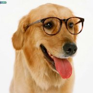 小幼犬