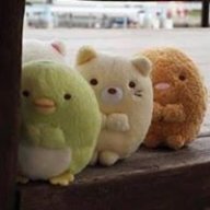 陳喵哈