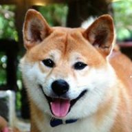 高大俠