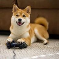 獅喵OuO