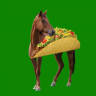 HorseTaco