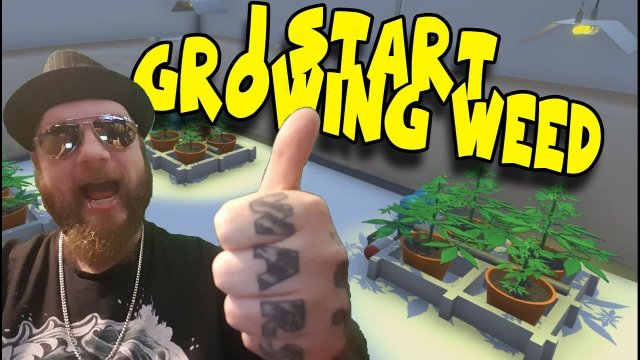 Im gonna GROW SOME WEED! DrGreenstuff -  Free Game Demo