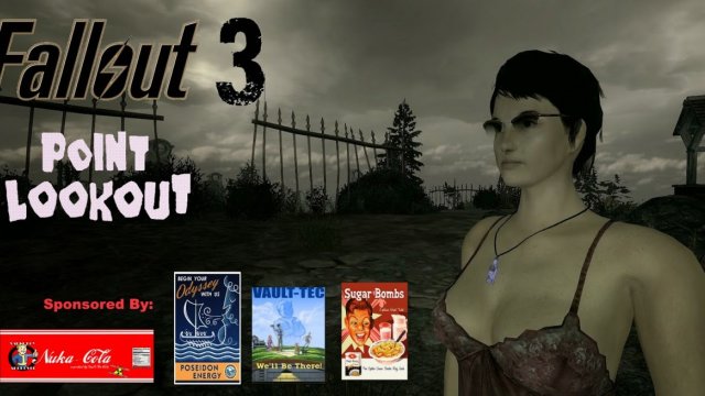 Fallout 3: Point lookup DLC music video